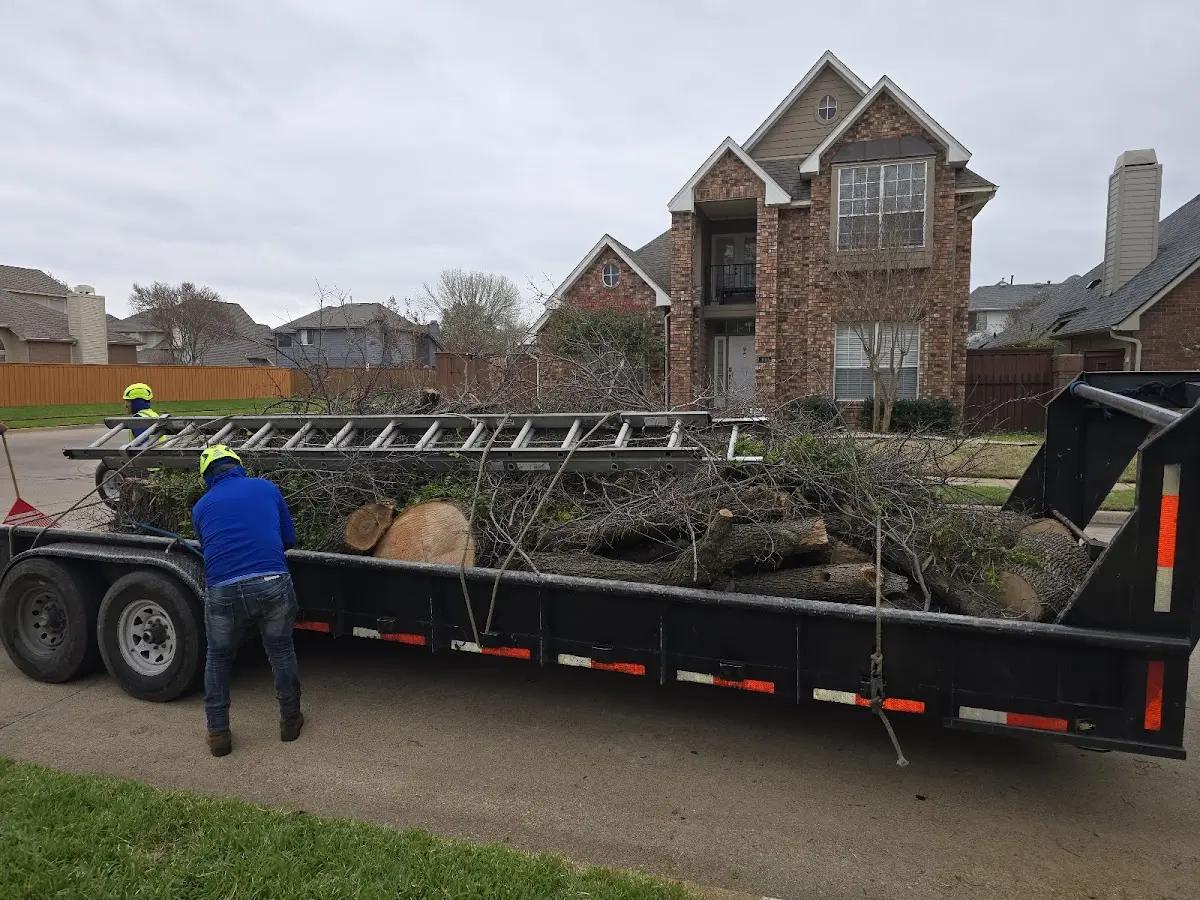 Expert Tree Fertilization with proper safety equipment in Birchwood